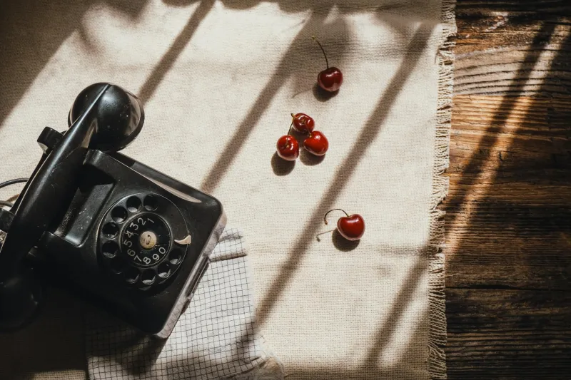 Your Neighbors Were Always Listening: The Forgotten Era of Shared Phone Lines